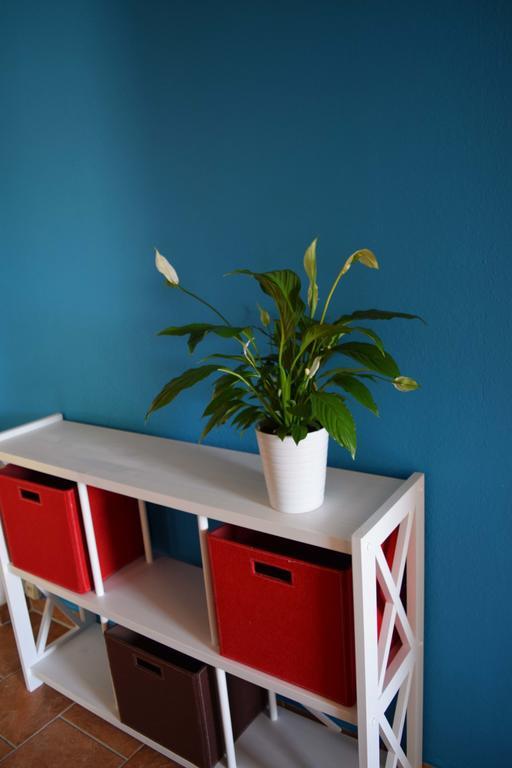 Obstkorb Stralsund Apartment Ruang foto